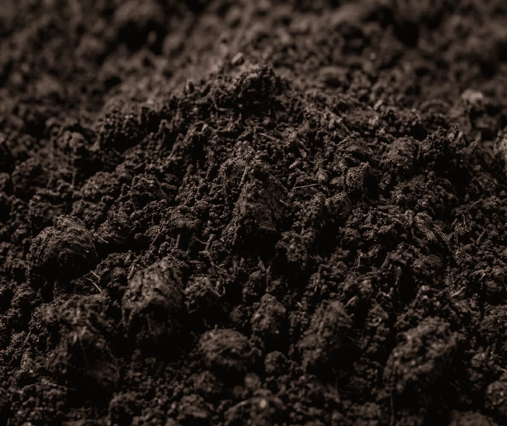 Topsoil delivery for landscaping – Kelių Milžinai